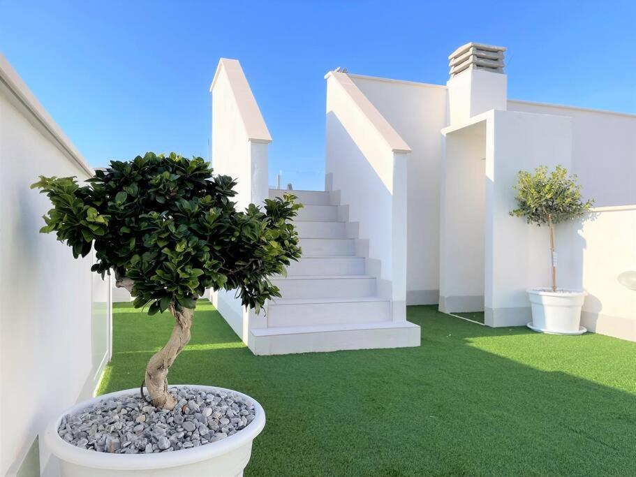 Your Spain P21 Torrevieja Luaran gambar